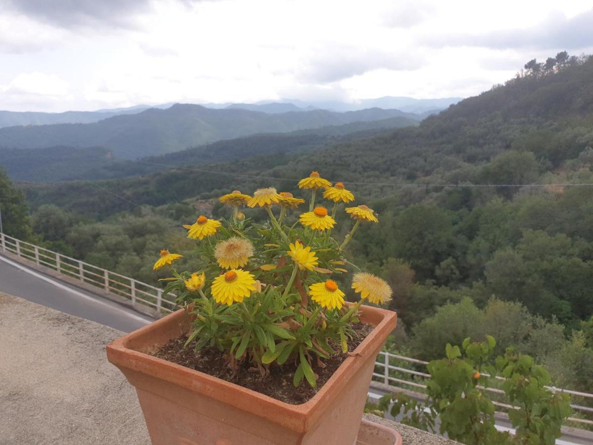 Bed & Breakfast Ca' Di Vissai Arnasco Exterior foto