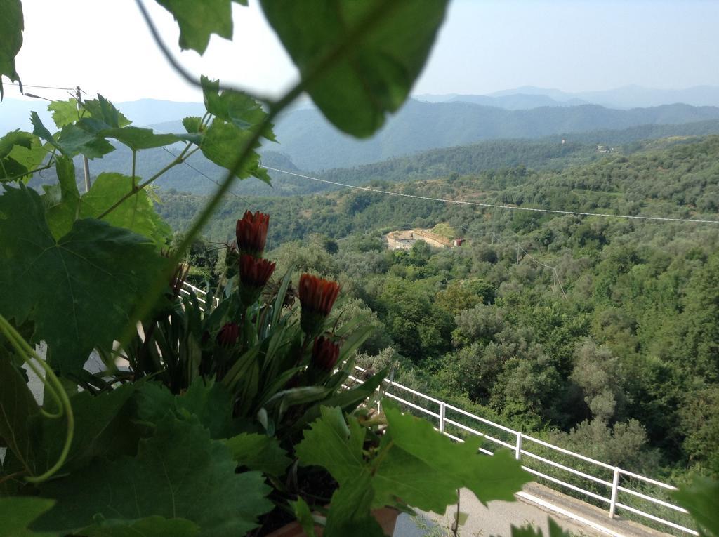 Bed & Breakfast Ca' Di Vissai Arnasco Exterior foto