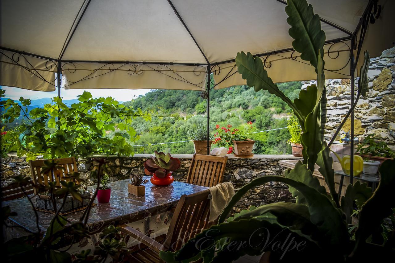 Bed & Breakfast Ca' Di Vissai Arnasco Exterior foto